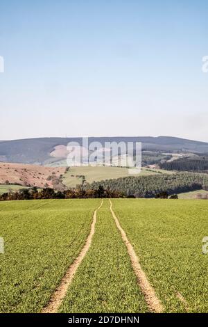 Blick vom Hawthorn Hill auf den Offa's Dyke Path in der Nähe von Knighton, Powys, UK, mit Blick südwestlich in Richtung Black Mixen Stockfoto