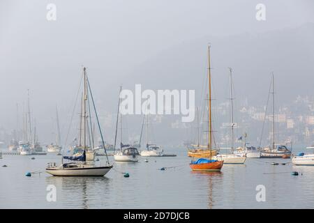 Dartmouth; Boote auf dem Fluss im Nebel; Devon; Großbritannien Stockfoto