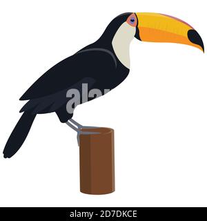 Toucan sitzt auf Baum. Tropischer Vogel im Cartoon-Stil isoliert auf weißem Hintergrund. Stock Vektor