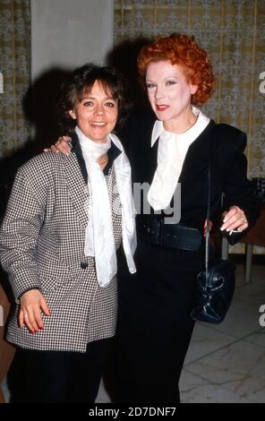 Elisabeth Volkmann (rechts), deutsche Schauspielerin und Synchronsprecherin, stellt in Hamburg der Kollegin Simone Rethel ihre neue Hautpflege-Serie 'Hautfrühling' vor, Deutschland 1988. Stockfoto