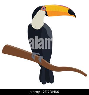 Toucan sitzt auf dem Ast. Tropischer Vogel im Cartoon-Stil isoliert auf weißem Hintergrund. Stock Vektor