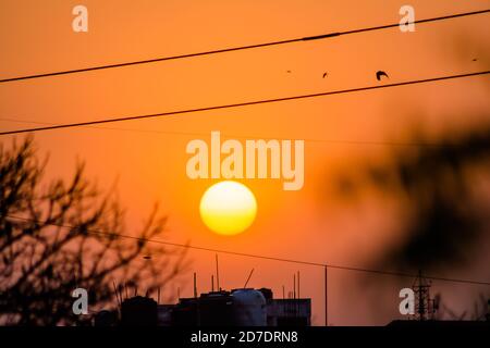 Sonne hinter Neem Tree. Azadirachta indica, allgemein bekannt als neem, nimtree oder indischen Flieder. Stockfoto