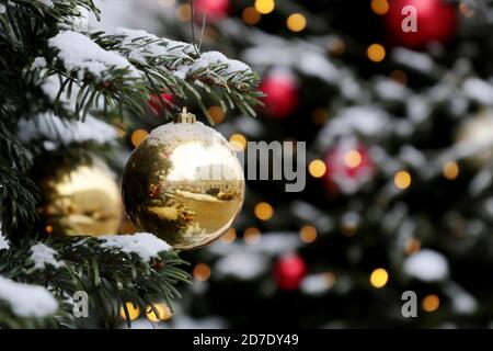 Goldene und rote Weihnachtskugeln, die auf einer mit Schnee bedeckten Tannenzweige hängen. Neujahrsbaum mit Dekorationen, Magie eines Urlaubs Stockfoto