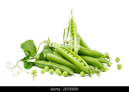 Früchte der grünen Erbsen auf weißem Hintergrund isoliert. Stockfoto