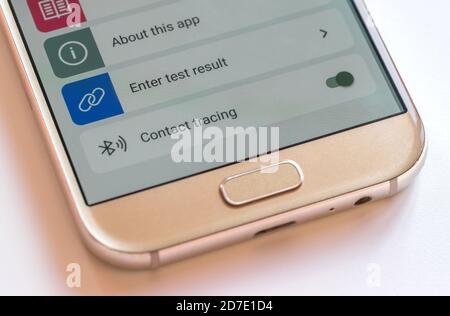 Die App NHS Covid-19 ist auf einem Android-Handy geöffnet und wird mit aktivierter Kontaktverfolgung verwendet. Die App wurde am 24. September 2020 als Kontaktverfolgungs-App in England und Wales, Großbritannien, eingeführt Stockfoto