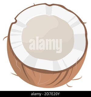 Halb Kokosnuss. Tropische Früchte im Cartoon-Stil. Stock Vektor