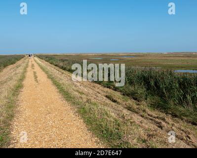 Cley Sümpfe, Cley am Meer, Norfolk, East Anglia, England, Großbritannien. Stockfoto