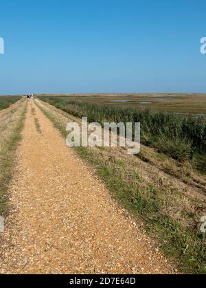 Cley Sümpfe, Cley am Meer, Norfolk, East Anglia, England, Großbritannien. Stockfoto