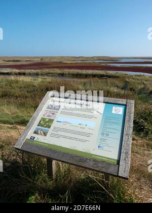 Cley Sümpfe, Cley am Meer, Norfolk, East Anglia, England, Großbritannien. Stockfoto