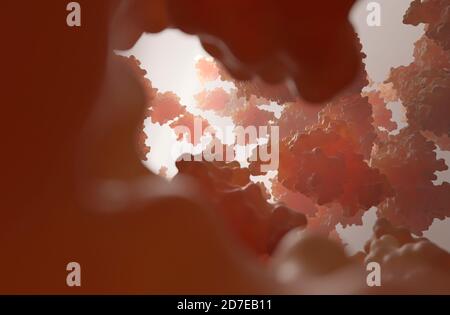 Hämoglobin ist das eisenhaltige Sauerstoff-Transport-Metalloprotein in den roten Blutkörperchen. Es transportiert Sauerstoff aus der Lunge zum Rest des Körpers. Stockfoto