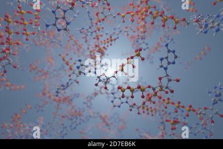 ATP (ein Molekül mit hochenergetischen Bindungen) liefert Energie, um viele Prozesse in lebenden Zellen zu treiben, z.B. Muskelkontraktion, Nervenimpulse, Synthese Stockfoto