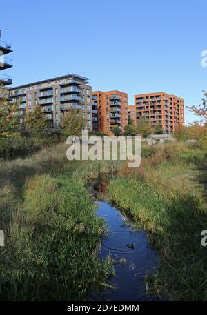 Neue Wohnblocks überblicken den Cator Park im Kidbrooke Village, einem riesigen neuen Wohngebiet im Londoner Stadtteil Greenwich, Großbritannien. Stockfoto