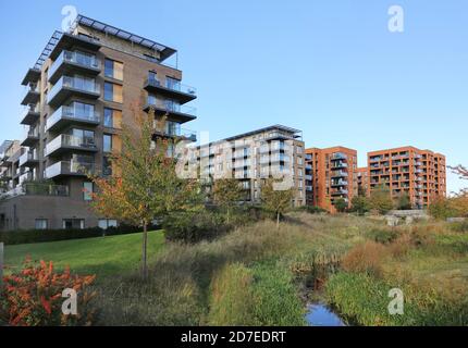 Neue Wohnblocks überblicken den Cator Park im Kidbrooke Village, einem riesigen neuen Wohngebiet im Londoner Stadtteil Greenwich, Großbritannien. Stockfoto