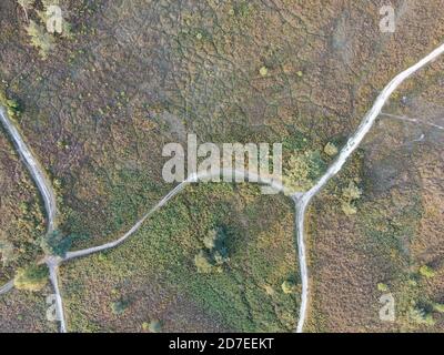 Luftaufnahme von direkt über gewundenen Pfaden durch Heide Stockfoto