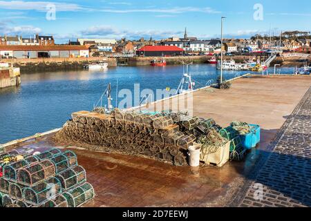Arbroath Hafen mit Hummertöpfen und Blick auf den Fischmarkt und die Stadt dahinter, Angus, Schottland, Großbritannien Stockfoto