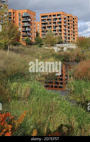 Neue Wohnblocks überblicken den Cator Park im Kidbrooke Village, einem riesigen neuen Wohngebiet im Londoner Stadtteil Greenwich, Großbritannien. Stockfoto