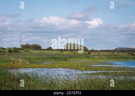 Die Landschaft des Marton Mere Local Nature Reserve in Blackpool zeigt den See, Schilfbetten und Wildtiere Stockfoto