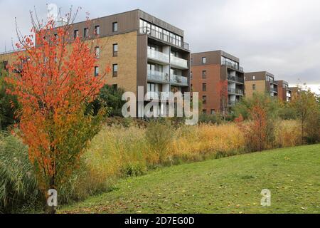 Neue Wohnblocks mit Blick auf den Sutcliffe Park, Teil von Kidbrooke Village, einem riesigen neuen Wohngebiet im Londoner Stadtteil Greenwich, Großbritannien. Stockfoto