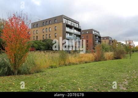 Neue Wohnblocks mit Blick auf den Sutcliffe Park, Teil von Kidbrooke Village, einem riesigen neuen Wohngebiet im Londoner Stadtteil Greenwich, Großbritannien. Stockfoto