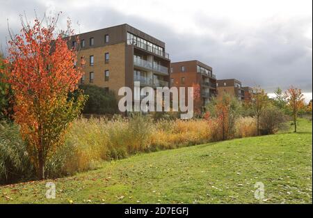 Neue Wohnblocks mit Blick auf den Sutcliffe Park, Teil von Kidbrooke Village, einem riesigen neuen Wohngebiet im Londoner Stadtteil Greenwich, Großbritannien. Stockfoto