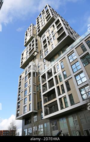 Birch House, ein neuer Wohnblock im Kidbrooke Village, einem riesigen neuen Wohngebiet im Londoner Stadtteil Greenwich, Großbritannien. Stockfoto