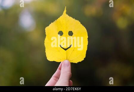 Gelbes Blatt in der Hand, glückliches Herbstkonzept. Stockfoto
