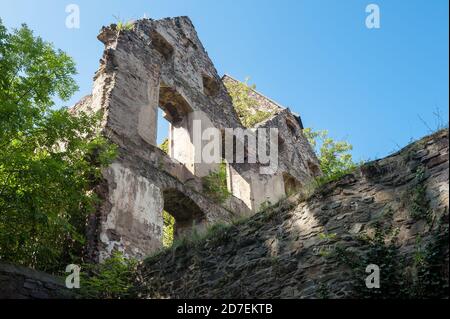 Schloss Świny, Gmina Bolków, im Kreis Jawor, Woiwodschaft Niederschlesien, im Südwesten Polens Stockfoto