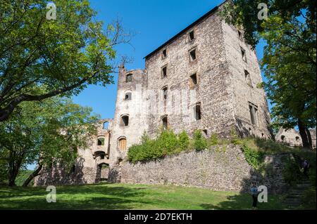 Schloss Świny, Gmina Bolków, im Kreis Jawor, Woiwodschaft Niederschlesien, im Südwesten Polens Stockfoto