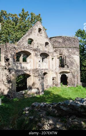 Schloss Świny, Gmina Bolków, im Kreis Jawor, Woiwodschaft Niederschlesien, im Südwesten Polens Stockfoto