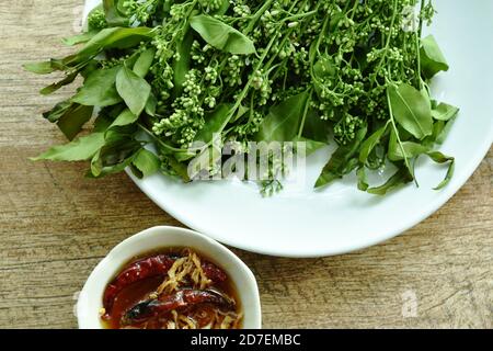 Siamese neem Tree Indian Gemüse Dipping mit süß und sauer Fischsoße Stockfoto