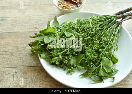 Siamese neem Tree Indian Gemüse Dipping mit süß und sauer Fischsoße Stockfoto