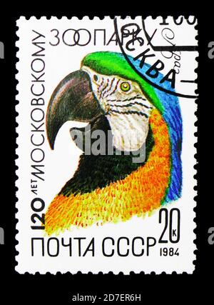 MOSKAU, RUSSLAND - 31. MÄRZ 2018: Eine in der UdSSR (Russland) gedruckte Briefmarke zeigt den blau-gelben Ara (Ara ararauna), den Moskauer Zoo, 120. Jahrestag Serie, Cir Stockfoto