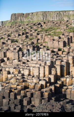 Giant's Causeway, ein UNESCO-Weltkulturerbe, bestehend aus etwa 40,000 Basaltsäulen an der Küste von Antrim in Nordirland, Großbritannien Stockfoto