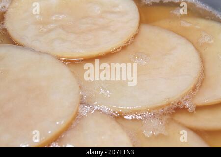 Nahaufnahme Fresh Scoby (symbiotische Kultur von Bakterien und Hefe) kombucha-Bild Stockfoto