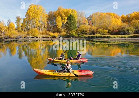 Aspen und Weidensträucher verwandeln sich im Oktober entlang des Deschutes River im Zentrum von Oregon bei Bend von Grün zu Gold. Dieser Abschnitt des Flusses ist popul Stockfoto