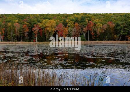 Berkshire Landscape Massachisetts Stockfoto