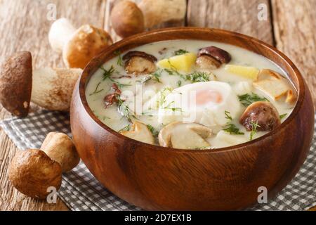 Schmackhafte Kulajda ist eine traditionelle tschechische dicke Suppe, mit Pilzen, Kartoffeln und Sahne, die mit Dill gewürzt und mit pochierten Eiern aus der Nähe gekrönt wird Stockfoto