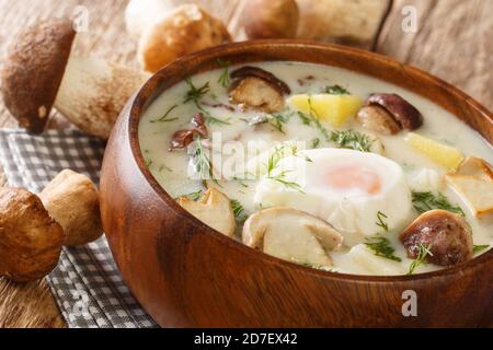 Kulajda ist eine traditionelle tschechische weiße Suppe voller Aromen. Dieses klassische Rezept enthält Pilze, Kartoffeln, Ei und Dill aus der Nähe in einer Schüssel auf dem Ta Stockfoto