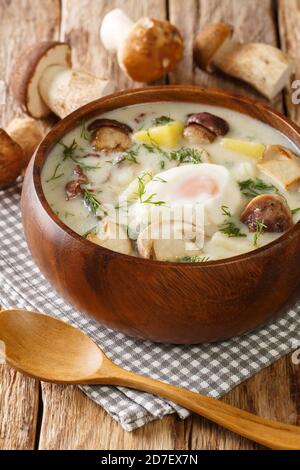 Kulajda ist eine tschechische Küche Suppe mit sauren Sahne Kartoffeln Dill Wildpilze und Ei close-up in einer Schüssel auf dem Tisch. Vertikal Stockfoto