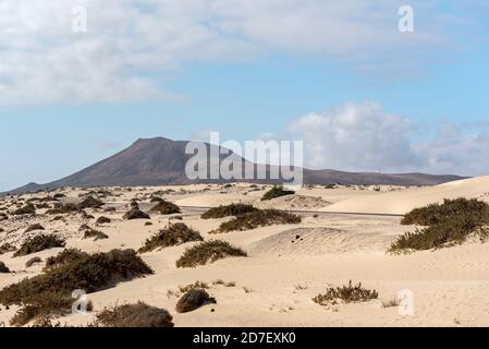 Dunas de Corralejo Naturpark in Fuerteventura, Spanien im Herbst 2020. Stockfoto