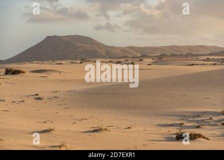 Dunas de Corralejo Naturpark in Fuerteventura, Spanien im Herbst 2020. Stockfoto