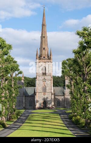 Alleen mit Bäumen führen zur St. Malachy's Kirche, Hillsborough Parish, County Down, Nordirland, Großbritannien Stockfoto