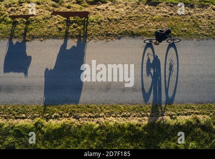 Schatten von Kuhstatuen und einem Radfahrer, der in Rieder bei Marktoberdorf vorbeifährt, Bayern, 21. Oktober 2020. © Peter Schatz / Alamy Live News Stockfoto