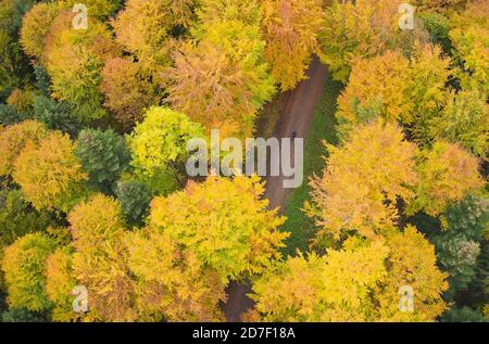 Radler passiert im Herbst einen Laubwald mit farbigen Blättern in Marktoberdorf, Bayern, Deutschland, 21. Oktober 2020. © Peter Schatz / Alamy Live News Stockfoto