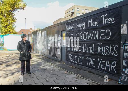 London, Großbritannien, 22. Oktober 2020. Die langjährige Friedensaktivistin Maria Gallastegui aktualisiert die Graffitti bezüglich des Happy man Tree im Londoner Hackney. Dieser 150 Jahre alte Baum, der zum Londoner Erbe gehört, wurde am 22. Oktober mit dem diesjährigen Woodland Trust Tree of the Year ausgezeichnet. Aber es könnte innerhalb weniger Wochen gefällt werden, aufgrund der umstrittenen Berkeley Homes Entwicklungspläne für die Wohnungspläne des Hackney council. Der Rat argumentiert, dass ‘ Stockfoto