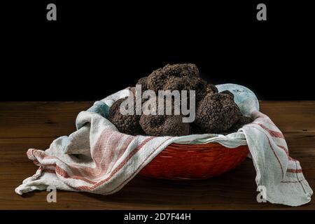 Schwarze Trüffel mit noch Spuren von Erde in Schellentuch Stockfoto