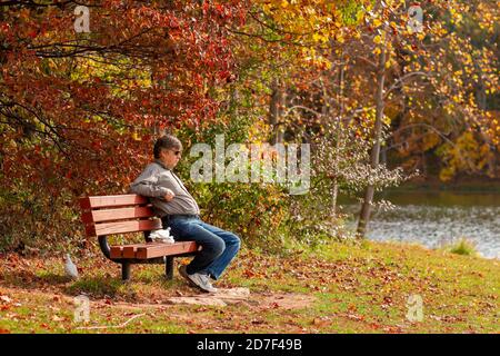 Boyd, MD, USA 10/20/2020: Ein Kaukasier mittleren Alters, der Jeans und Turnschuhe trägt, sitzt allein auf einer Bank und füttert Tauben. Herbst Farben und gefallen Stockfoto