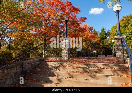 An autumn scene at a city park in Frederick, Maryland. It features concrete stairs covered with fallen leaves, lamp posts, railings, red maple trees a Stockfoto