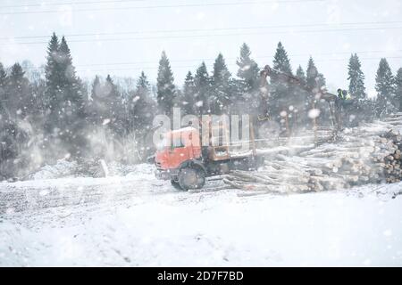 Ein LKW transportiert Holzstämme im Rücken. Holzstapler Stockfoto