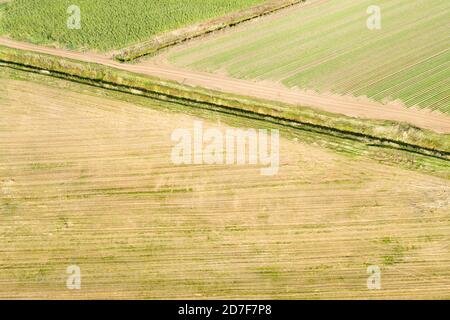 Draufsicht auf landwirtschaftliche Felder am Herbsttag Stockfoto